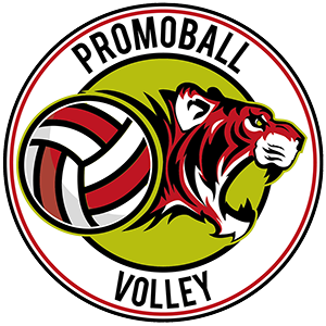Logo-Promoball
